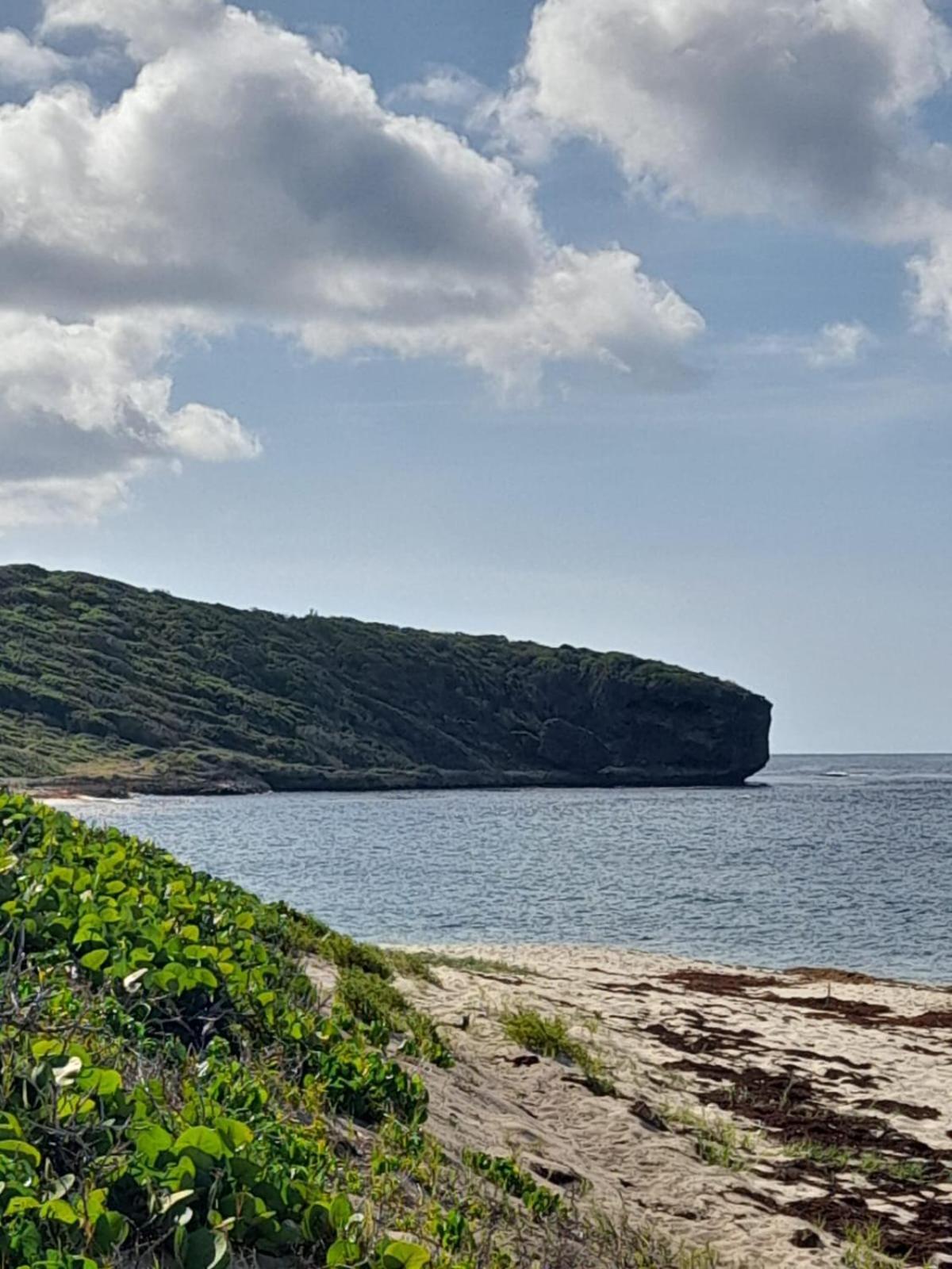 Maison Bord De Mer A 100 M Saint-Francois  Dış mekan fotoğraf